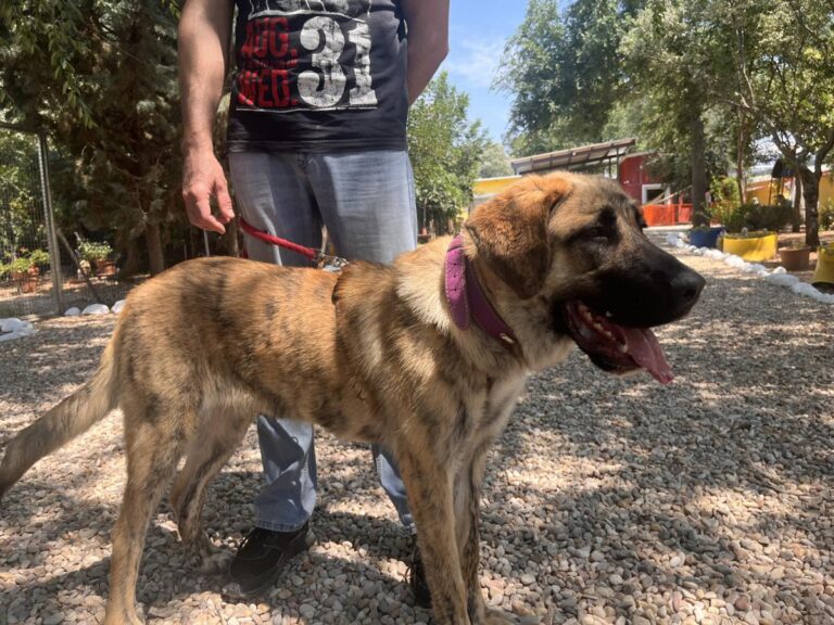 multimedia-foto83878-426-1