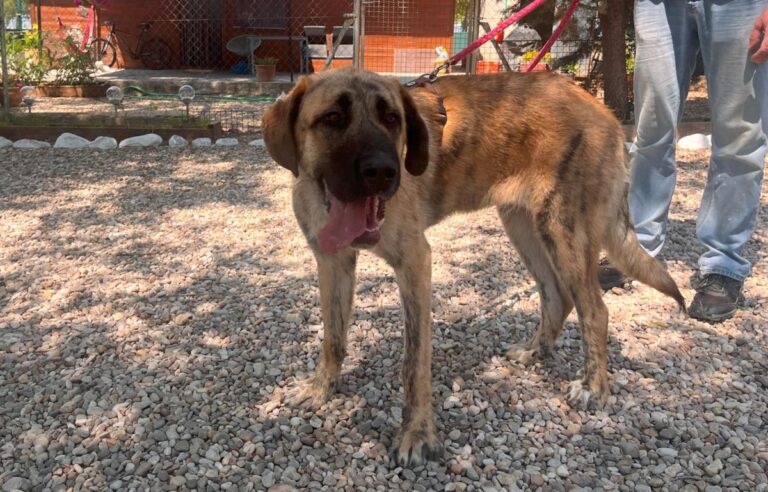 multimedia-foto83879-426-1