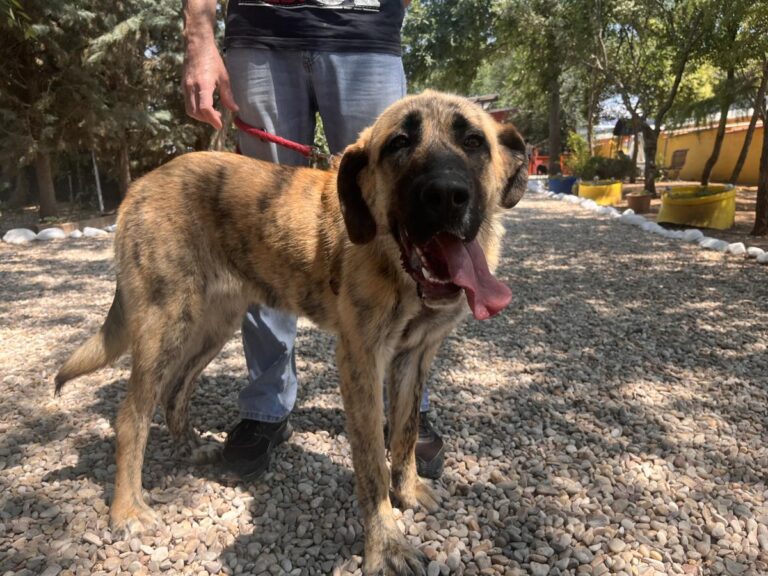 multimedia-foto83882-427-1