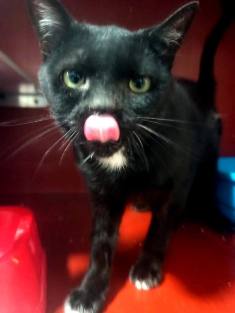 multimedia-foto83886-878-1