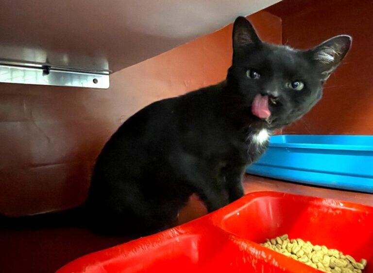 multimedia-foto83888-879-1