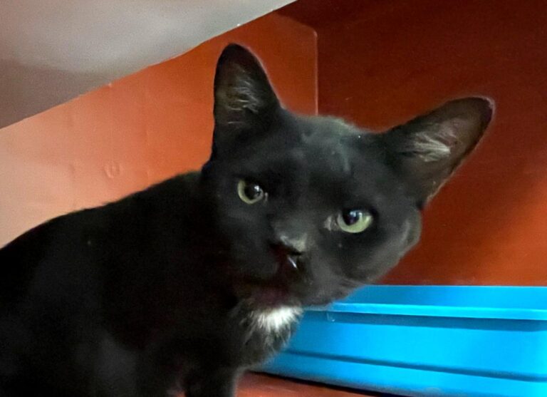 multimedia-foto83889-879-1