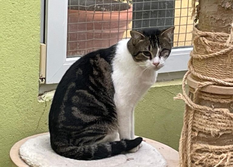 multimedia-foto83906-324-1