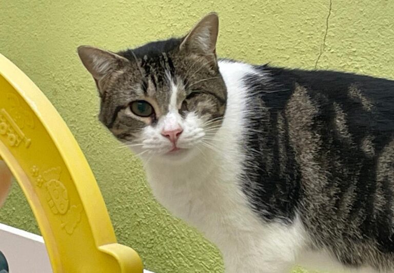 multimedia-foto83907-324-1