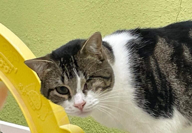 multimedia-foto83908-324-1