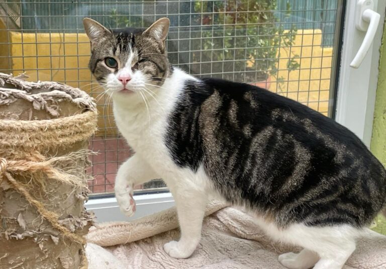 multimedia-foto83909-325-1