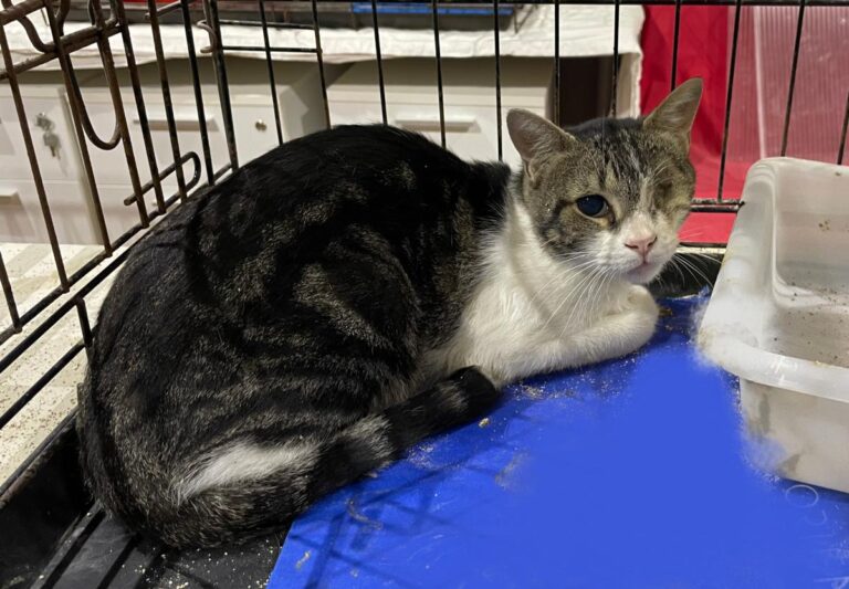 multimedia-foto83911-325-1