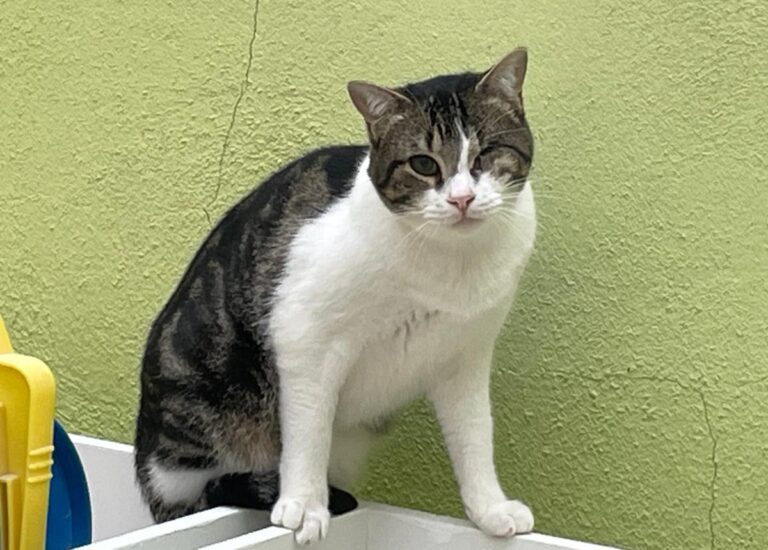 multimedia-foto83913-325-1