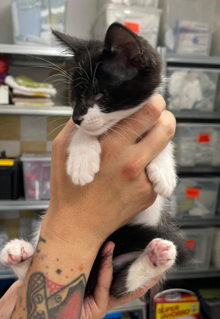 multimedia-foto83914-477-1