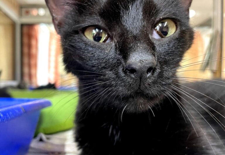 multimedia-foto83954-632-1