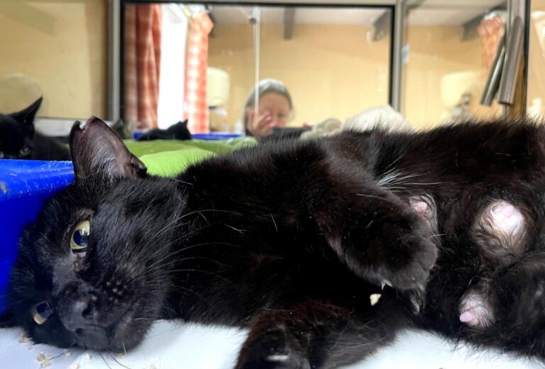 multimedia-foto83956-632-1