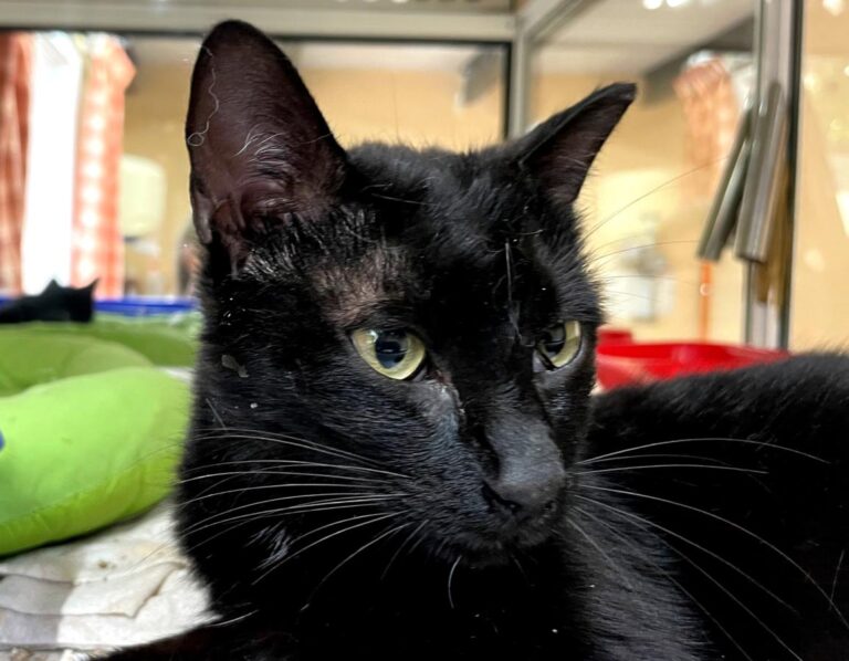 multimedia-foto83958-632-1