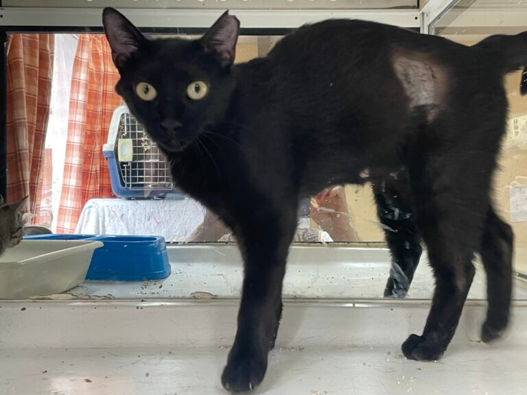 multimedia-foto83959-633-1