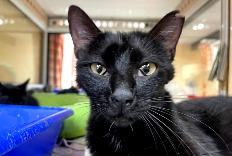 multimedia-foto83960-633-1