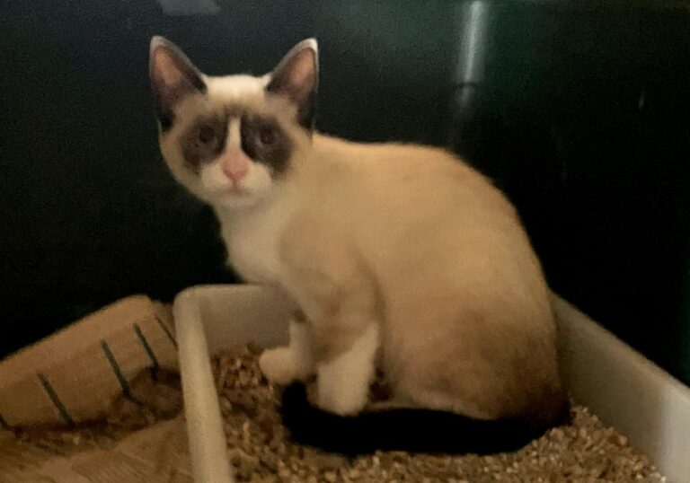 multimedia-foto83967-350-1