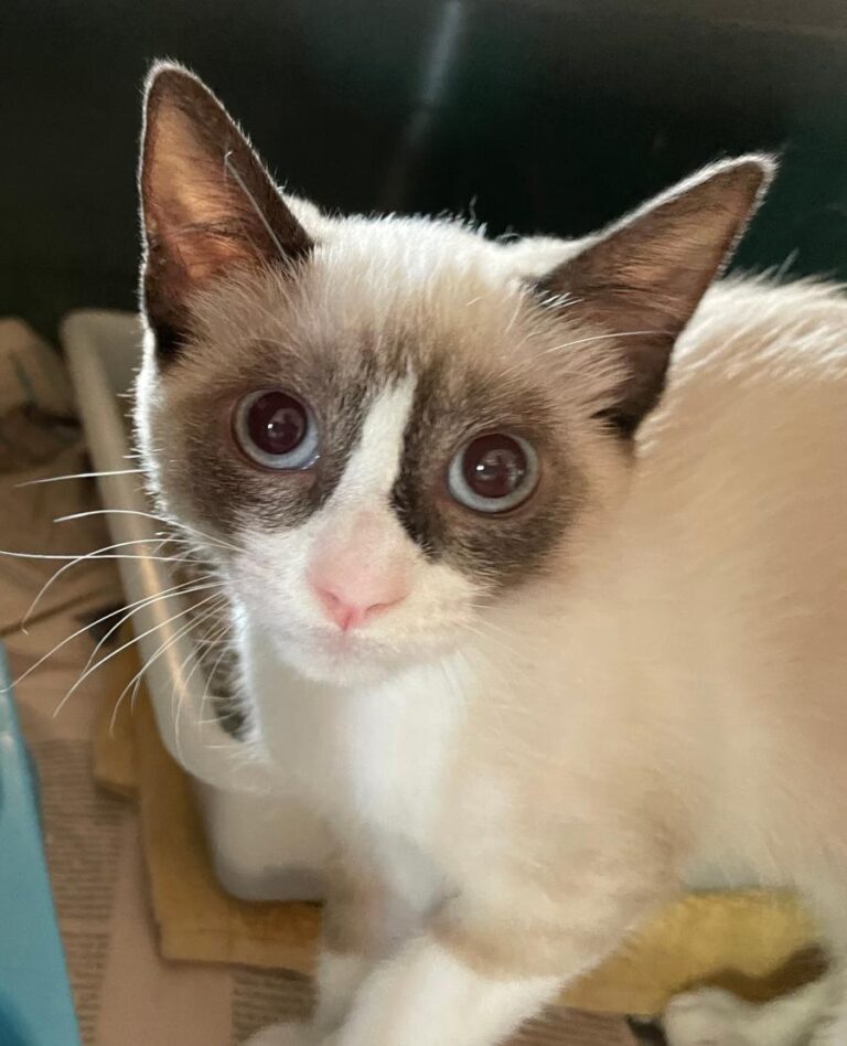 multimedia-foto83969-350-1