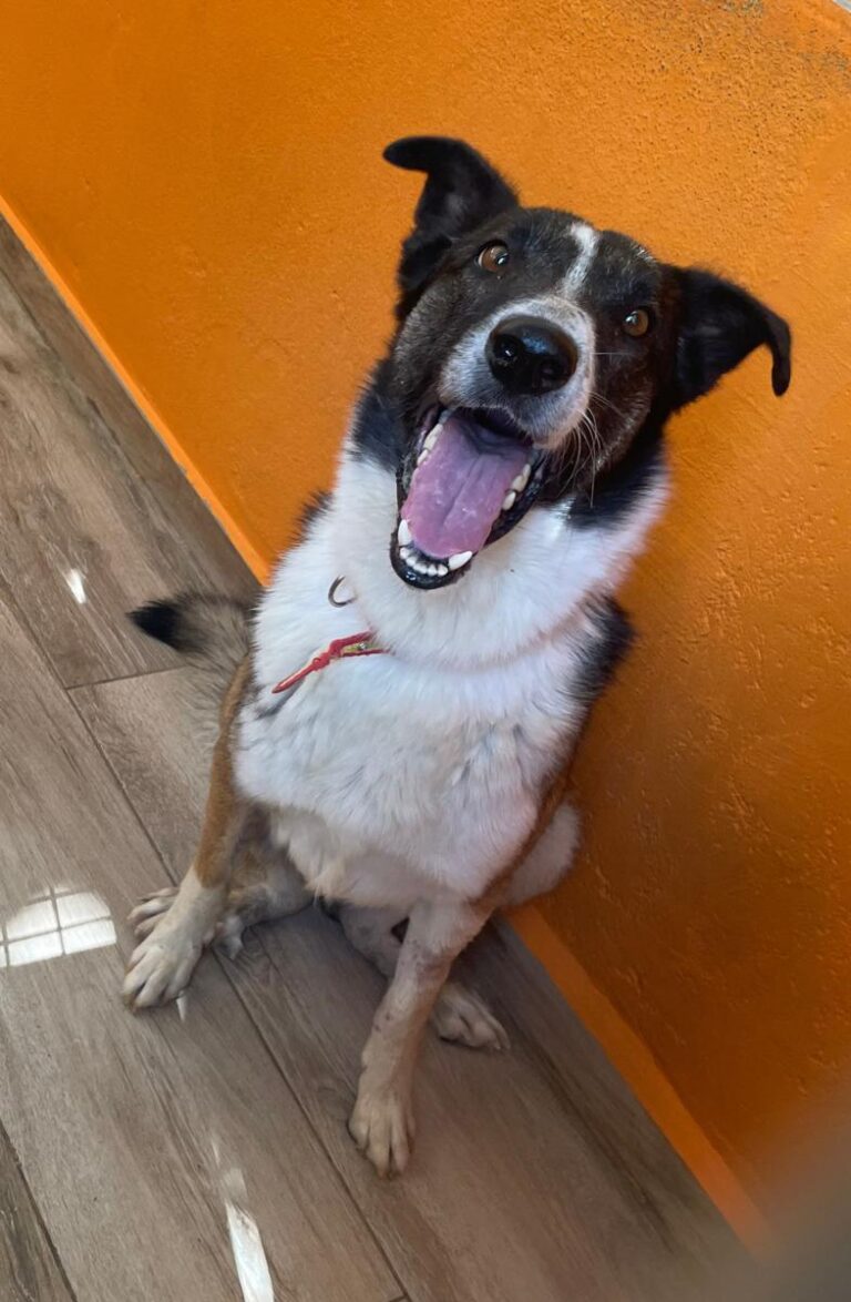 multimedia-foto84021-324-1