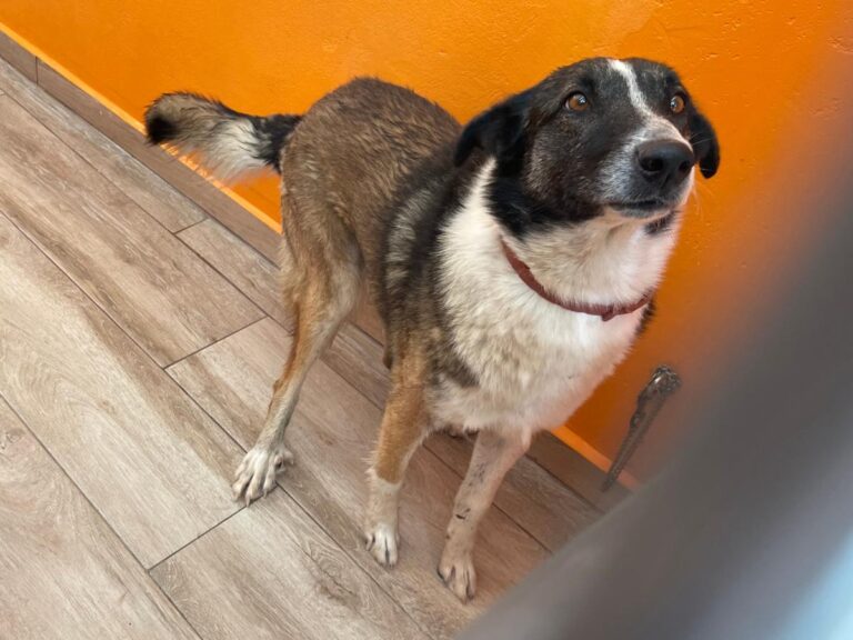 multimedia-foto84022-324-1