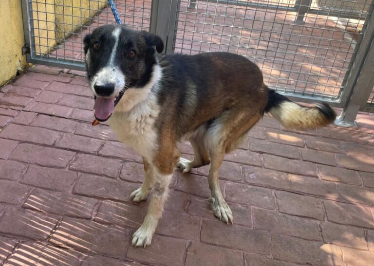 multimedia-foto84024-325-1