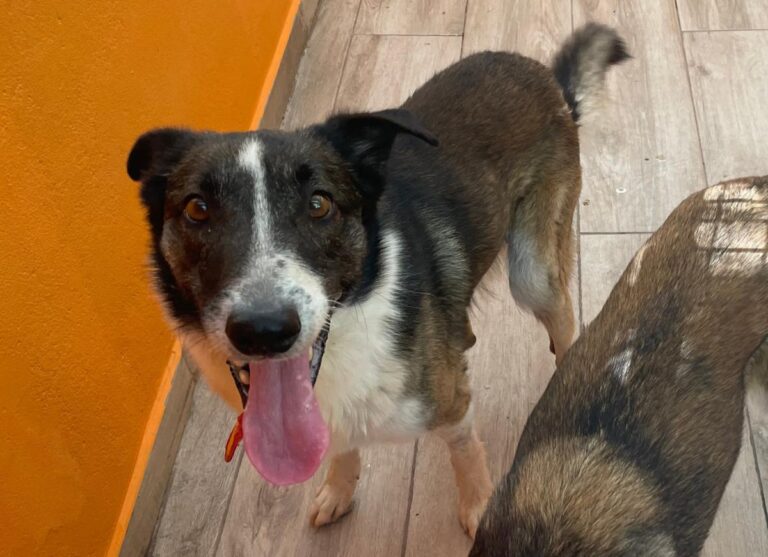 multimedia-foto84026-325-1