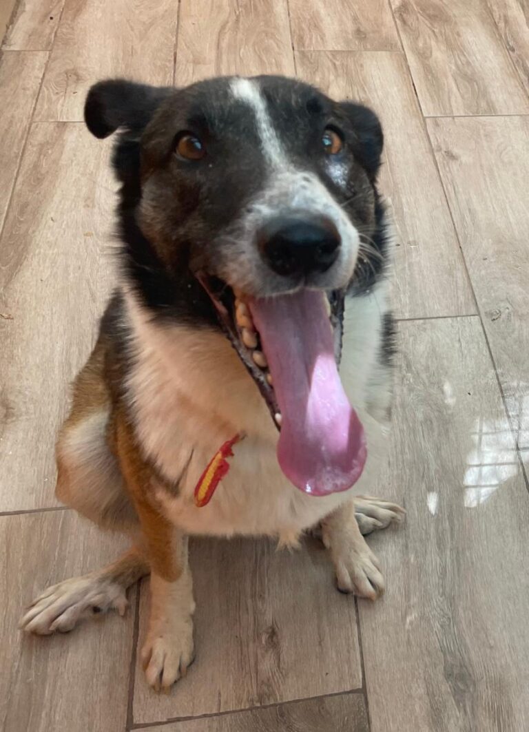 multimedia-foto84027-325-1