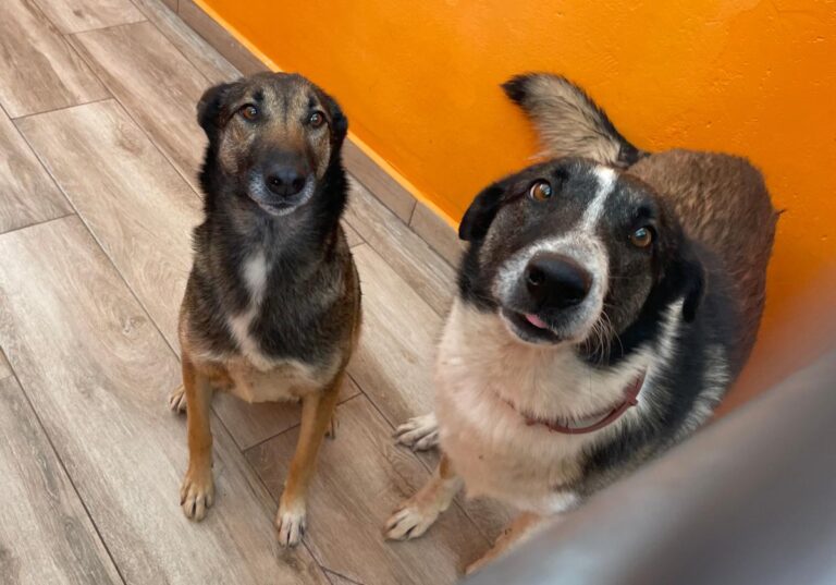 multimedia-foto84028-325-1