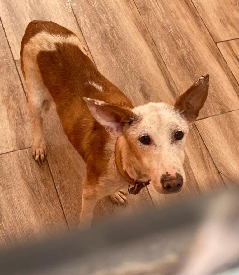 multimedia-foto84029-296-1