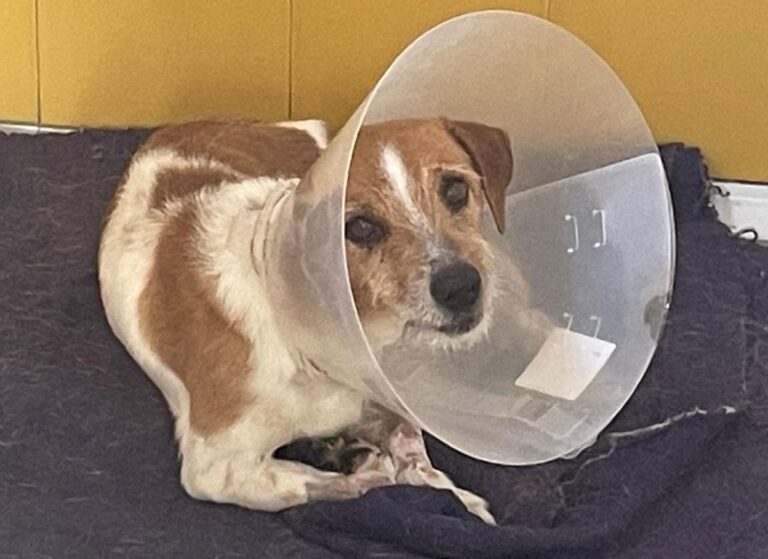 multimedia-foto84035-128-1