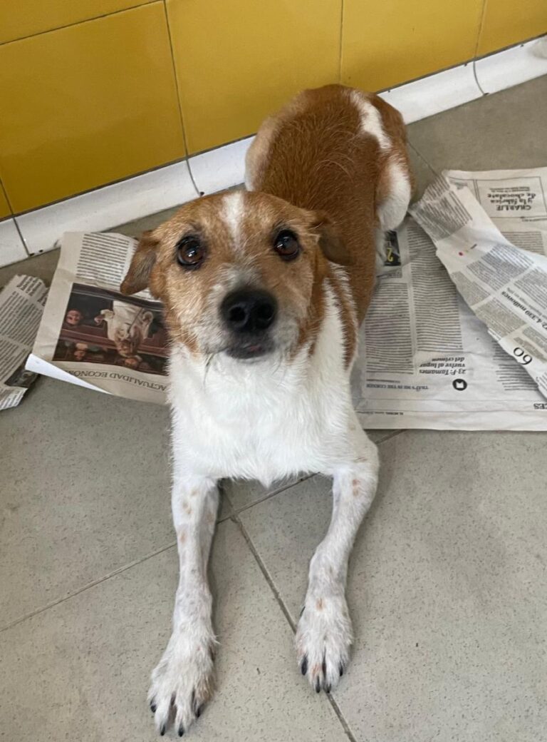 multimedia-foto84036-128-1