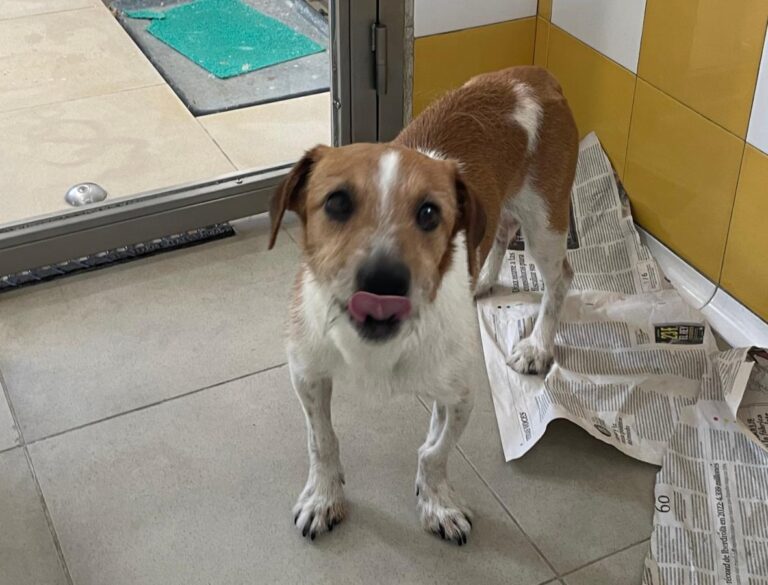 multimedia-foto84037-128-1