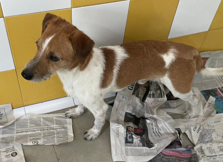 multimedia-foto84038-128-1