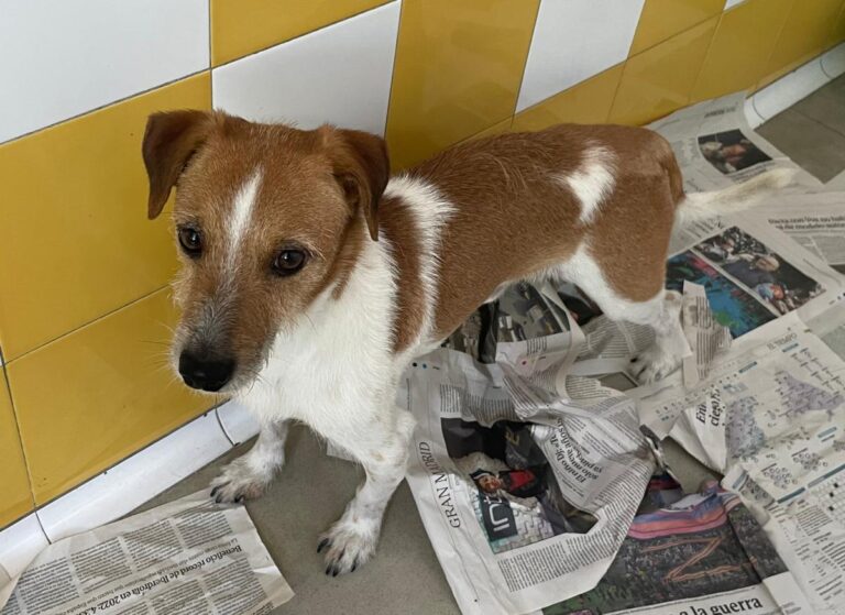 multimedia-foto84039-128-1