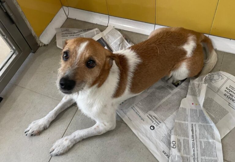 multimedia-foto84041-129-1