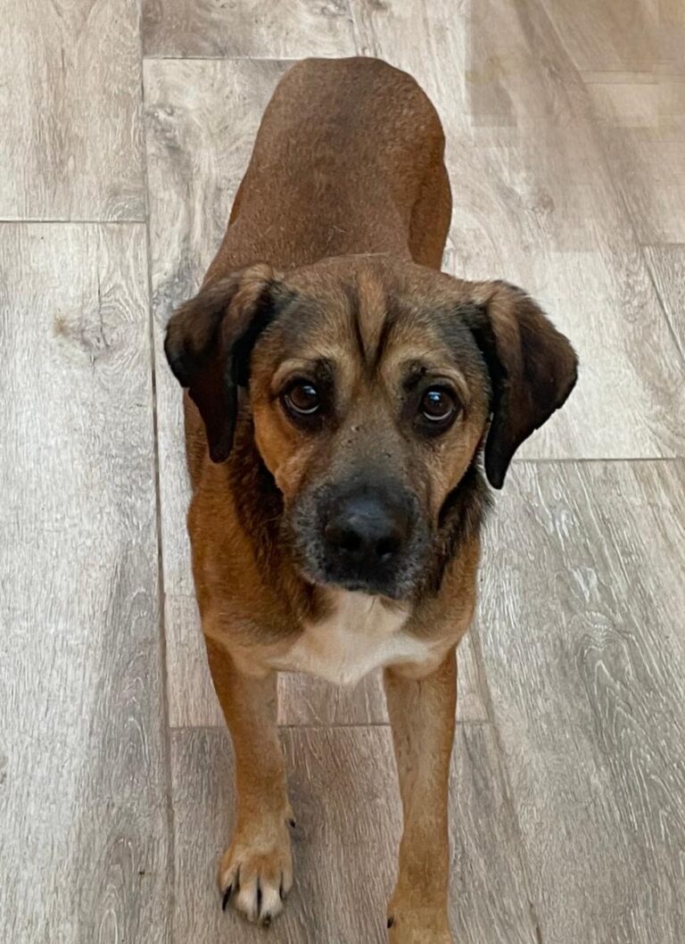 multimedia-foto84088-586-1