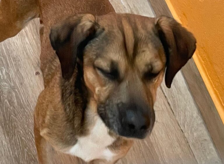 multimedia-foto84089-586-1