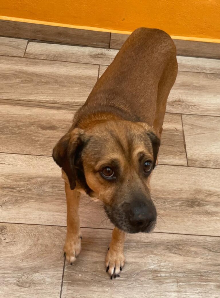 multimedia-foto84090-586-1