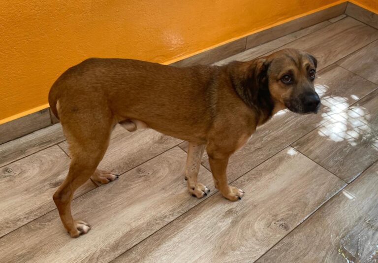 multimedia-foto84091-586-1