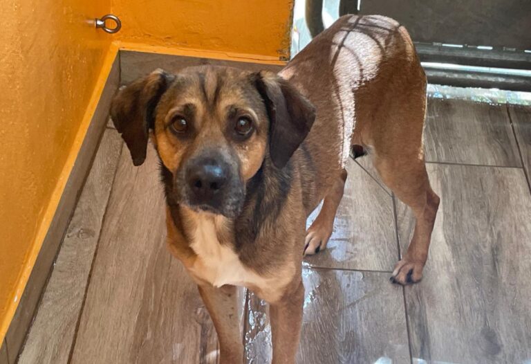 multimedia-foto84092-587-1