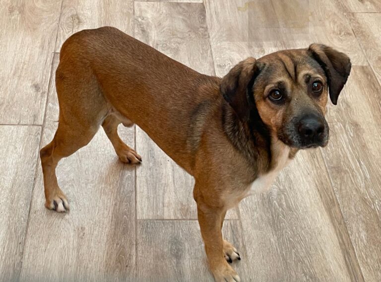 multimedia-foto84093-587-1