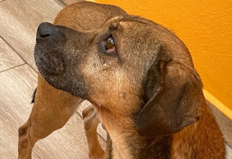 multimedia-foto84094-587-1