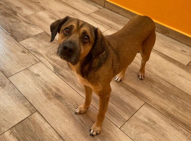 multimedia-foto84095-587-1