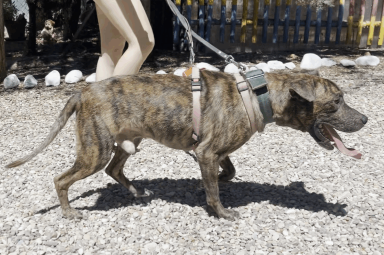 multimedia-foto84100-82-1