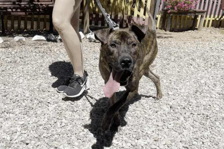 multimedia-foto84101-82-1