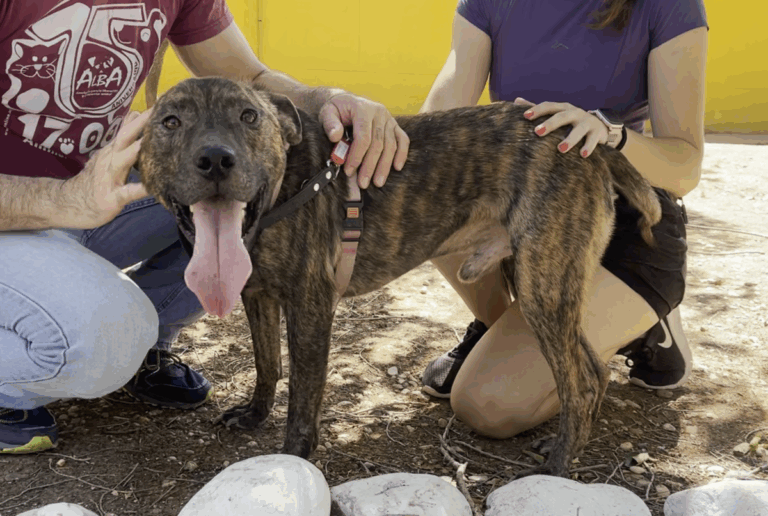 multimedia-foto84102-83-1