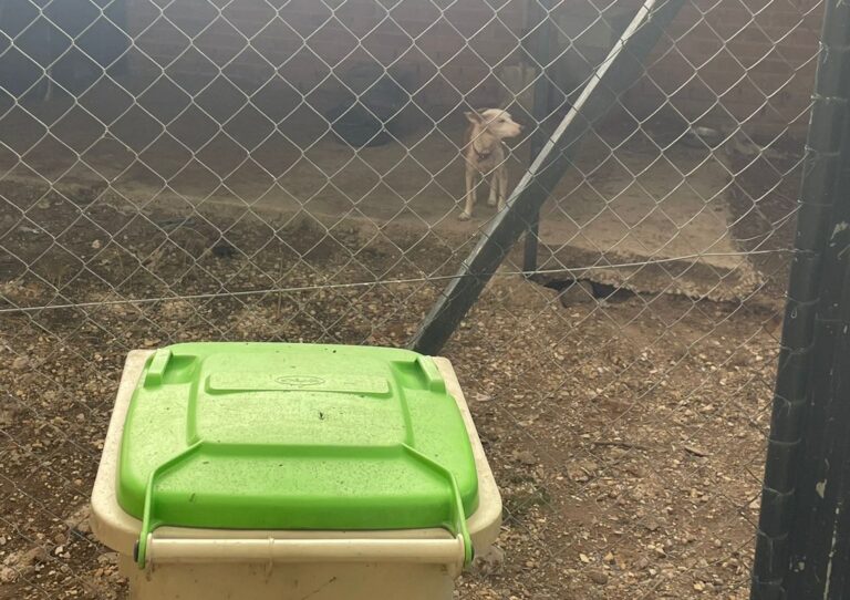 multimedia-foto84107-985-1