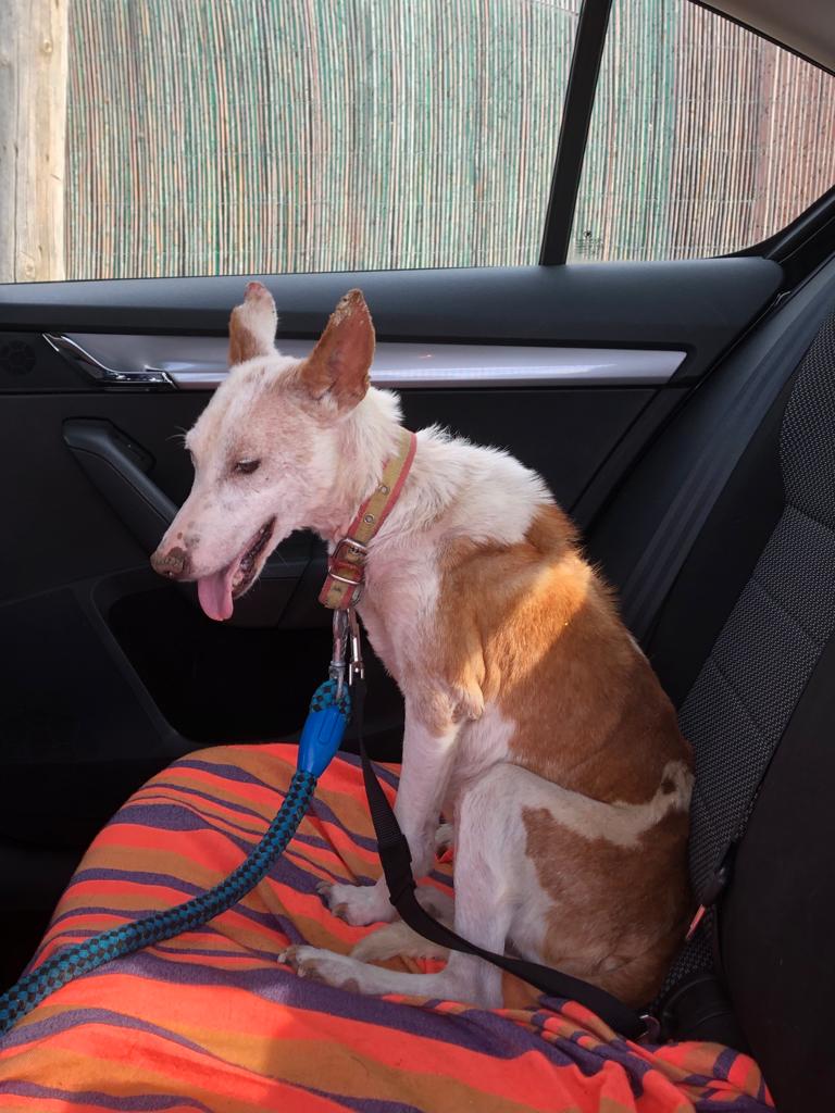 multimedia-foto84108-986-1