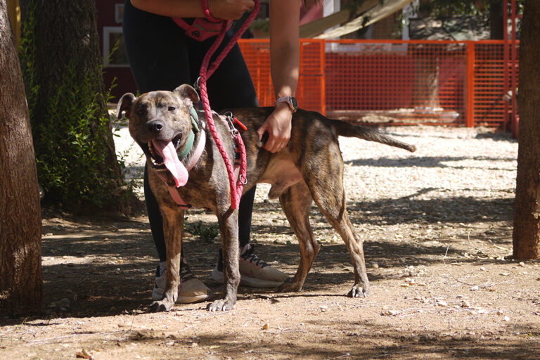 multimedia-foto84134-117-1