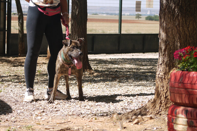 multimedia-foto84135-118-1