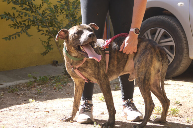 multimedia-foto84136-118-1