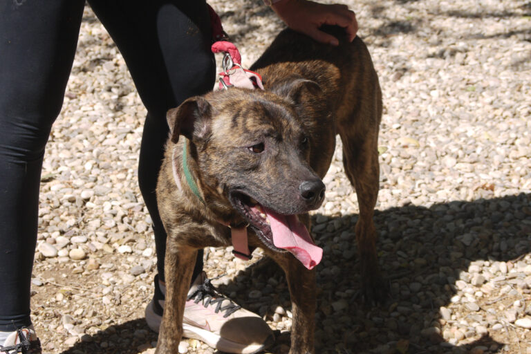 multimedia-foto84137-118-1